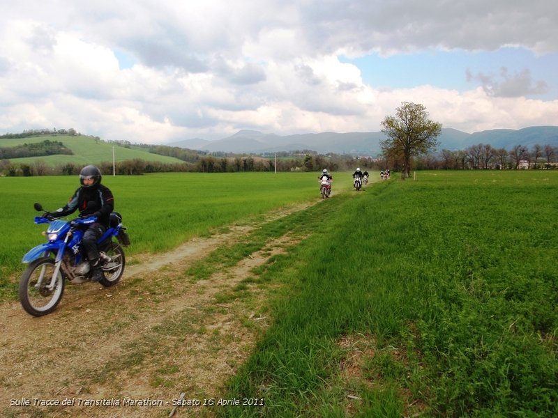 P4160136.JPG - Spettacolare passaggio tra il grano...