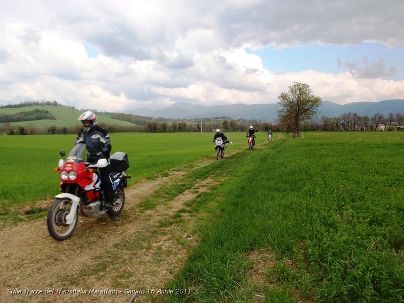 P4160137.JPG - Spettacolare passaggio tra il grano...