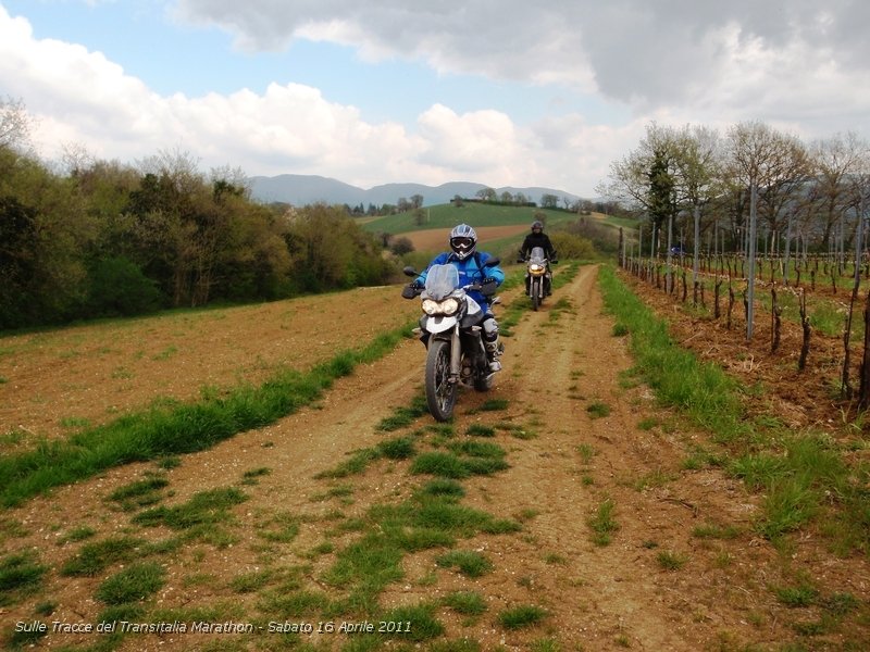 P4160138.JPG - Spettacolra passaggio tra la terra rossa Marchigiana..