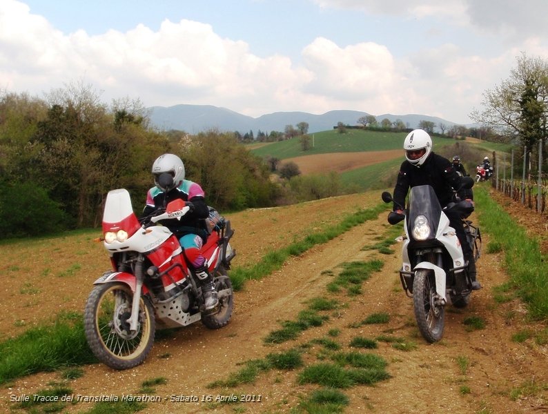 P4160139.JPG - Spettacolra passaggio tra la terra rossa Marchigiana..