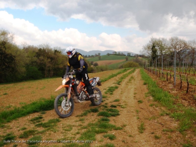 P4160140.JPG - Spettacolra passaggio tra la terra rossa Marchigiana..