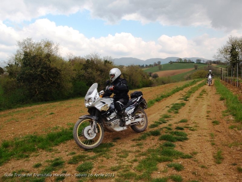 P4160141.JPG - Spettacolra passaggio tra la terra rossa Marchigiana..