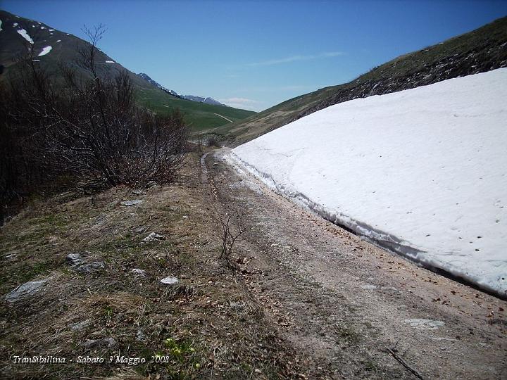 DSCN2651.JPG - Passaggio obbligato, c'è neve ..