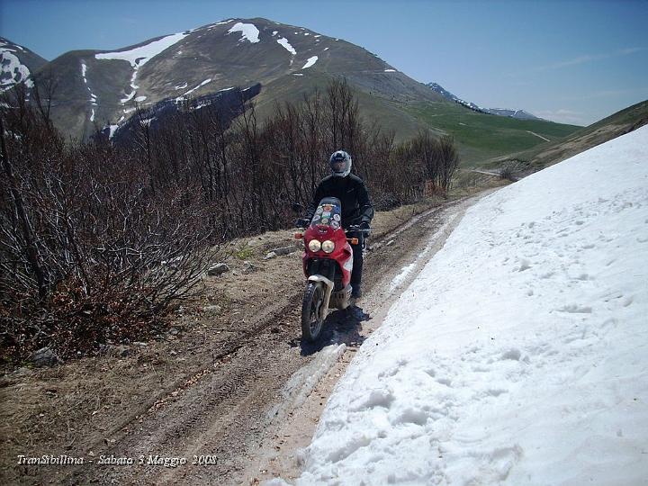 DSCN2666.JPG - Grandi Ragazzi, e come fai a perderti con 5 Guide !! :-)